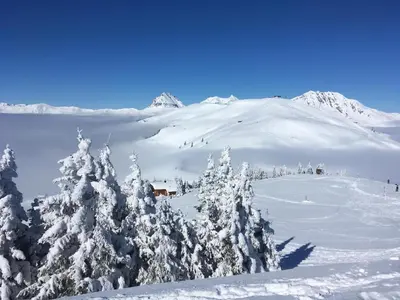 Holiday in Mittersill near the Kitzbühel Alps im Winter
