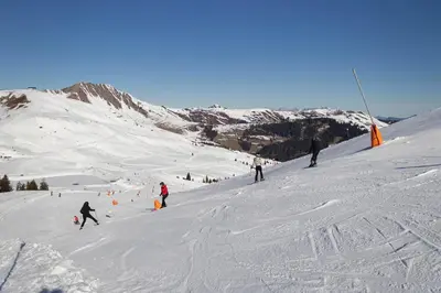Skifahren in der Ferienwohnung oder in der Nähe