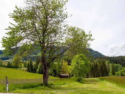 Naturlandschaft in der Nähe der Ferienwohnung