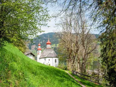 Naturlandschaft in der Nähe der Ferienwohnung