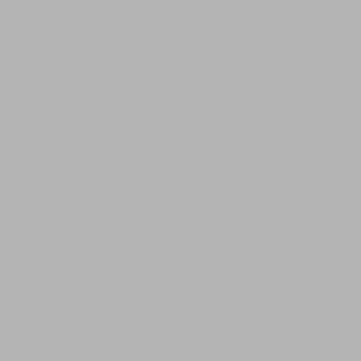 Gäste, die in der Unterkunft Chalet in Pinzgau near Ski Slopes übernachten