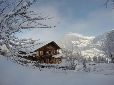 Premium Chalet Zirbe im Winter