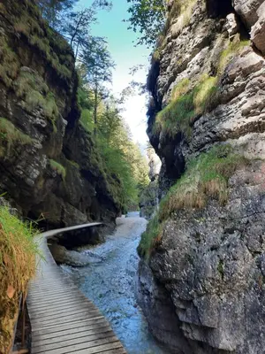 Naturlandschaft in der Nähe der Ferienwohnung
