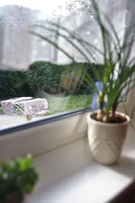 Ein Garten an der Unterkunft Ferienwohnungen Margret