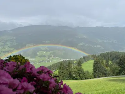 Naturlandschaft in der Nähe der Ferienwohnung