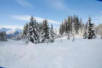 Apartment Steger im Winter