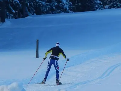 Skifahren in der Ferienwohnung oder in der Nähe
