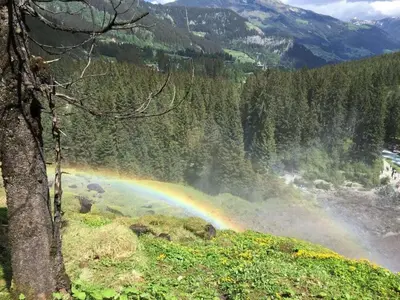 Naturlandschaft in der Nähe des Ferienhauses