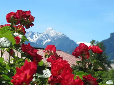 Ein allgemeiner Bergblick oder ein Berglick von des Ferienhauses aus