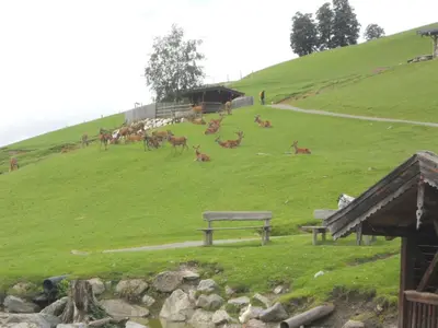 Naturlandschaft in der Nähe des Ferienhauses