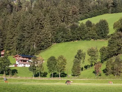 Naturlandschaft in der Nähe des Ferienhauses