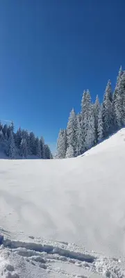Salvenblick im Winter