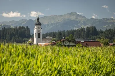 Naturlandschaft in der Nähe der Ferienwohnung