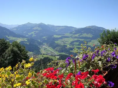 Naturlandschaft in der Nähe des Ferienhauses