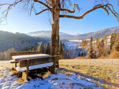 Naturlandschaft in der Nähe des Bauernhofs