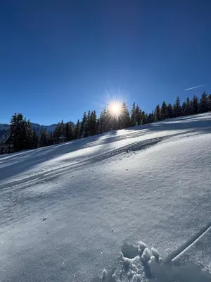 Mitterhaidgut im Winter