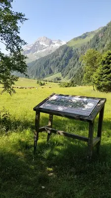 Naturlandschaft in der Nähe der Ferienwohnung