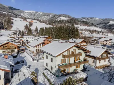 Nussbaumer im Winter