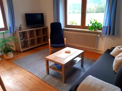 TV/Unterhaltungsangebot in der Unterkunft Ferienwohnung Eckschlager
