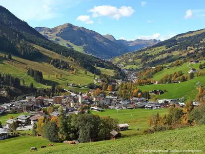 Naturlandschaft in der Nähe der Ferienwohnung