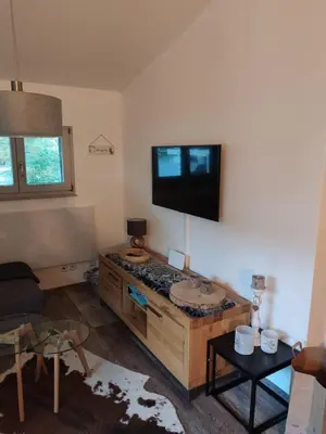 TV/Unterhaltungsangebot in der Unterkunft Ferienwohnung Hüttenzauber