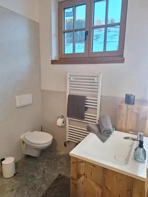 Ein Badezimmer in der Unterkunft Winklern Appartment Wildschütz