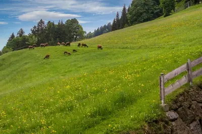 Naturlandschaft in der Nähe der Ferienwohnung