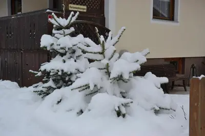 Ferienhaus Raffeiner im Winter