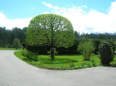 Grundriss der Unterkunft Freihof