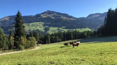 Grundriss der Unterkunft Freihof