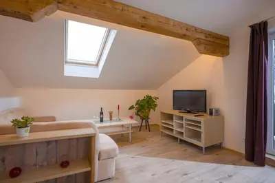 TV/Unterhaltungsangebot in der Unterkunft Appartement Herbert by NV-Appartements