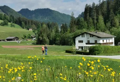 Naturlandschaft in der Nähe der Ferienwohnung
