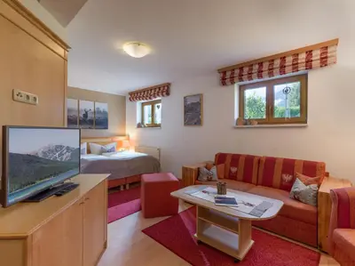 TV/Unterhaltungsangebot in der Unterkunft Ferienwohnung Biechl