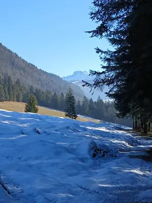 Naturlandschaft in der Nähe der Ferienwohnung