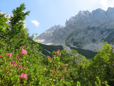 Naturlandschaft in der Nähe der Ferienwohnung
