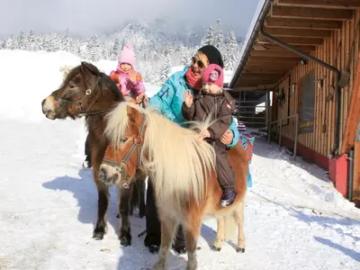 Tiere im Hotel oder in der Nähe