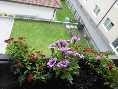 Grundriss der Unterkunft Pension zu Hause