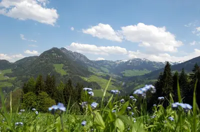 Naturlandschaft in der Nähe des Chalets