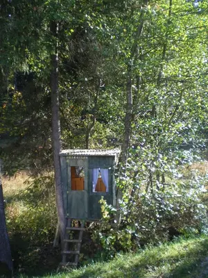Ein Garten an der Unterkunft Haus Dorothea