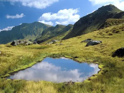 Naturlandschaft in der Nähe des Chalets