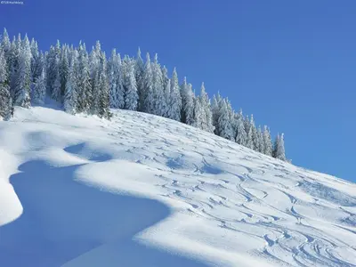 Detached Chalet in Saalbach im Winter
