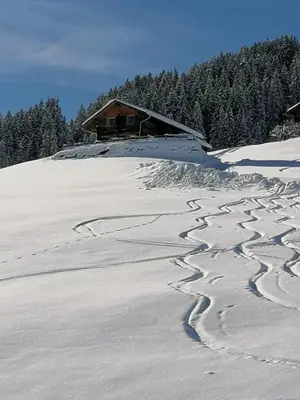 Ferienhütte Georg im Winter