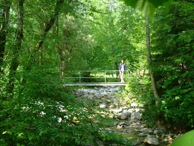 Naturlandschaft in der Nähe des Privatzimmers