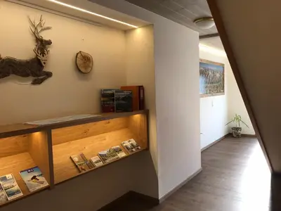 TV/Unterhaltungsangebot in der Unterkunft Hotel Gasthof Schweizerhaus