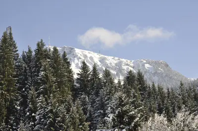 Ein allgemeiner Bergblick oder ein Berglick von der Ferienwohnung aus