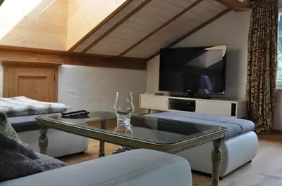 TV/Unterhaltungsangebot in der Unterkunft Appartement Kitzbühel mit Dachterrasse