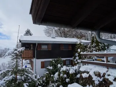 Chalet in Niedernsill near Zell am See Ski Area im Winter