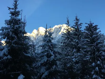 Ein allgemeiner Bergblick oder ein Berglick von der Ferienwohnung aus