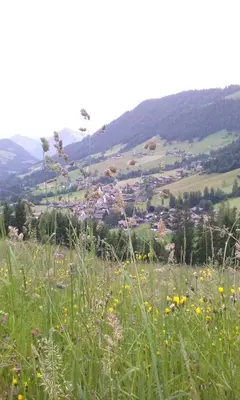 Naturlandschaft in der Nähe der Ferienwohnung