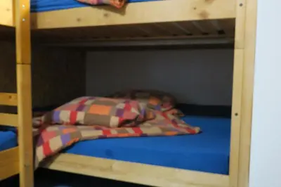 Ein Bett oder Betten in einem Zimmer der Unterkunft SnowBunnys BackPackers Hostel